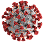 COVID-19 molecule from the CDC image library