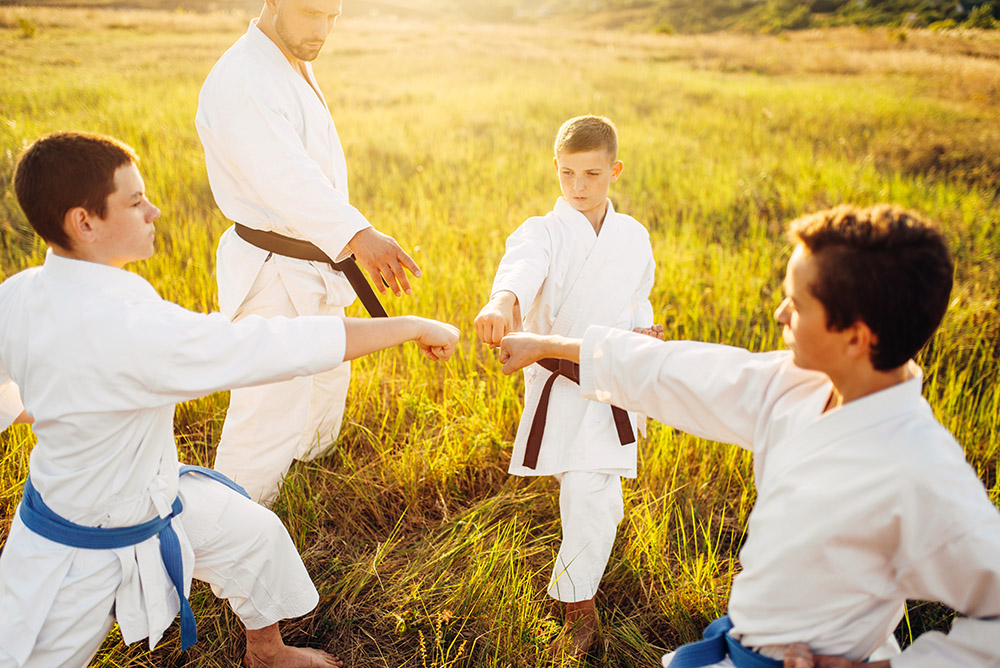 Taekwondo for families hamilton