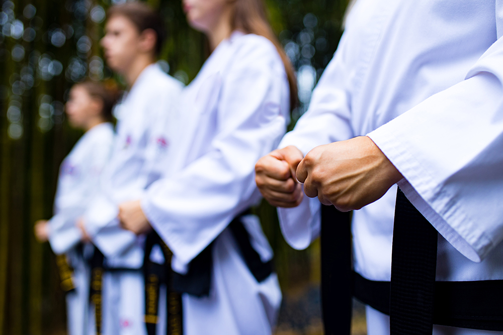 adult taekwondo hamilton