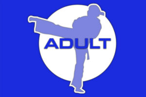 classes-Adults-taekwondo-Hamilton