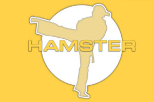 classes-Hamster-taekwondo-Hamilton